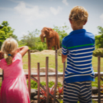 kids looking at elephant